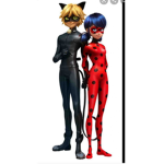 Lady bug and cat noir group