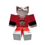 牢猫小伙伴