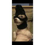 ᴡʜᴇʀᴇ ᴀʟʟ ɴᴏᴛ ᴘᴇʀғᴇᴄᴛ