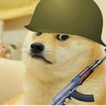 De Doge Gang!