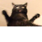 fsdagzertfgtdfsdfdfdfdfd