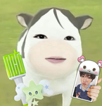 STAN PUPPYM