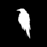 The DarkHawks