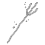 Bubble Trident [Milk Edition]