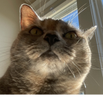 Madeline14