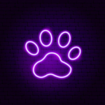 neon pup labs