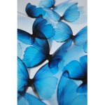 ⁓ •Blue Lovely's • ⁓