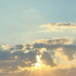 ୨୧ SUNLiGHT