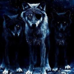 The Dog Squaddd