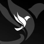 Avela Airways Group Thumbnail