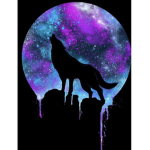 Galaxy nation of space