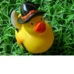 Magic Ducky land