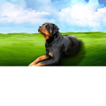 Group Thumbnail