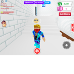 Sammy #####