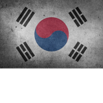 대한 조직