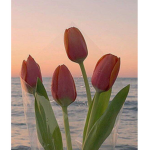 tulip army