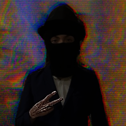 Developer Void