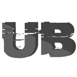 Universal Brawl