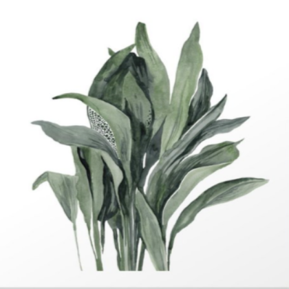 (aesthetic) grey leaf Roblox decal