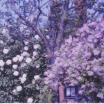 ~*+ Lavender Babies +*~