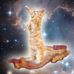 ¥$Bacon$Mafia$¥