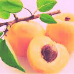 ~Apricot Studios~