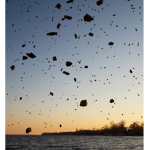 ~+When the Sky Falls+~