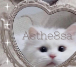 SariCat :D