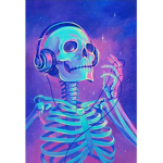 The skulls Headphones
