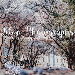 Lilac Photogaphs {NEW}