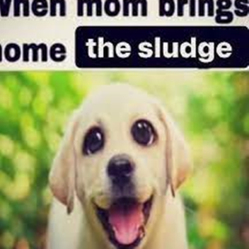 Panelling Barricades