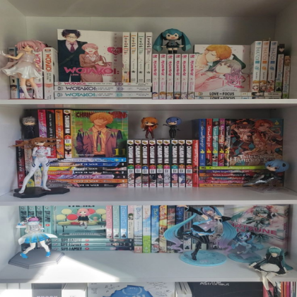 Manga shelf  Roblox decal
