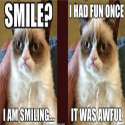 Grumpy cat meme(s) Roblox decal