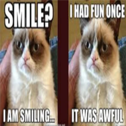 Grumpy cat meme(s)