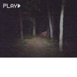 Just some normal woods. (17+) icon