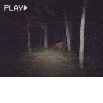 Just some normal woods. (17+)