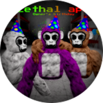 Owner's birthday