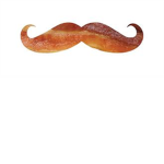 i liek bacon