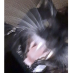 Rats are cute<3