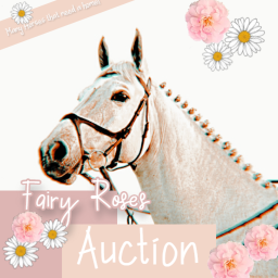 Fairy Roses Horse Auctions