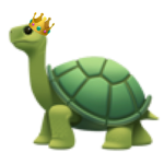 ~turtles~ clothes and more!