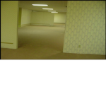 Backrooms Studios!