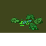 Turtle...Squad!