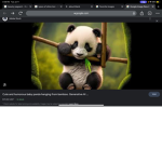 The Panda amaze