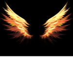 FireWings Club