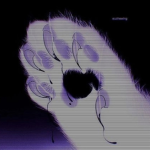 ｵﾎﾎ族の集い