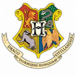Hogwarts School Of Witchcraft and Wizardry World!