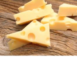 GRUPO DE EL QUESO