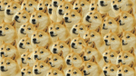Team Dogge