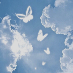 #Butterfly_Squad